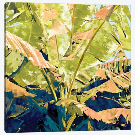 Blush Banana Tree Canvas Print #UMA878} by 83 Oranges Canvas Artwork