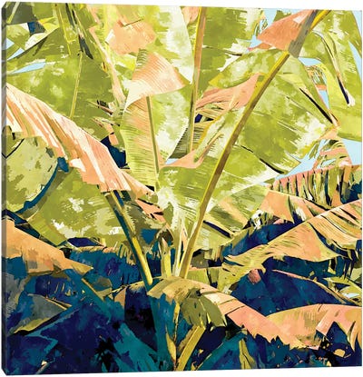 Blush Banana Tree Canvas Art Print - 83 Oranges