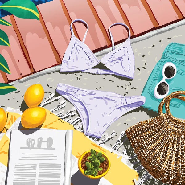 Books: Summer On My Mind, Tropical Travel Swimming Pool Fashion Illustration, Eclectic Beachy Summer Bikini by 83 Oranges