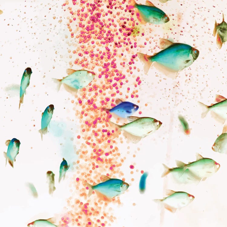Something Fishy, Pink Bubbles & Blue Green Fish Graphic Design Digital Eclectic Surrealism by 83 Oranges wall art