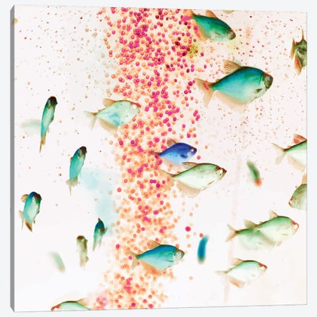 Something Fishy, Pink Bubbles & Blue Green Fish Graphic Design Digital Eclectic Surrealism Canvas Print #UMA910} by 83 Oranges Canvas Print