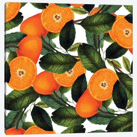 The Forbidden Orange Canvas Print #UMA925} by 83 Oranges Canvas Print