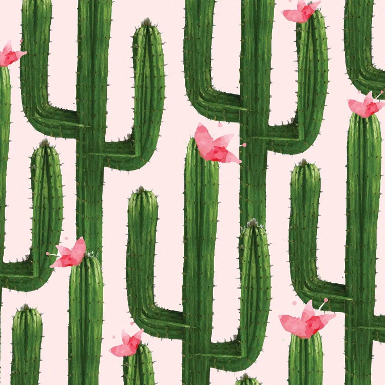 Happy Cacti