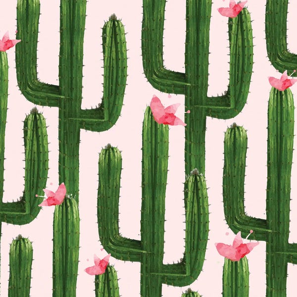 Cacti: Happy Cacti by 83 Oranges