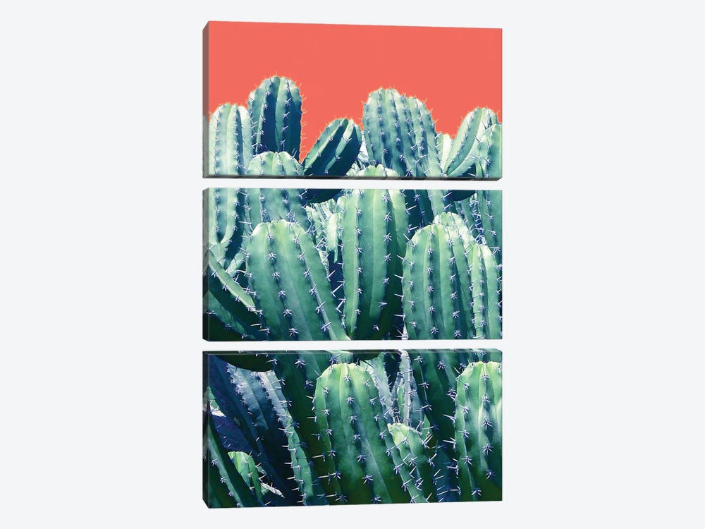 Cactus On Coral by 83 Oranges 3-piece Canvas Wall Art