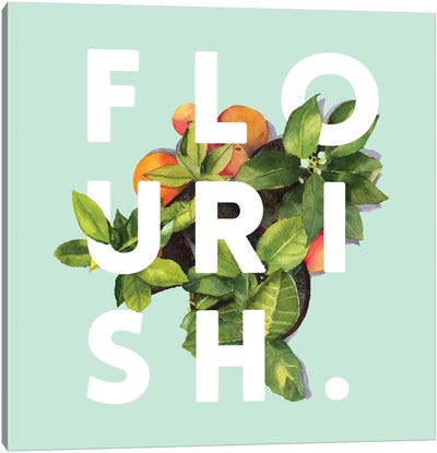 Flourish Canvas Art Print - College