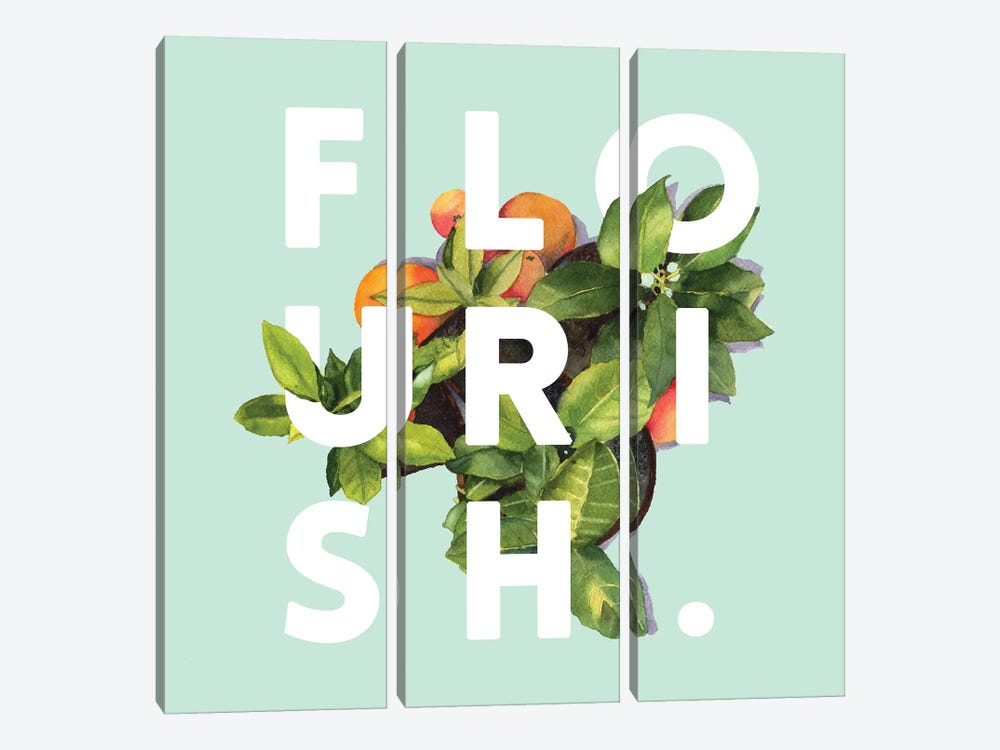 Flourish by 83 Oranges 3-piece Canvas Wall Art