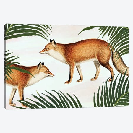 Red Fox Pair Canvas Print #UMA938} by 83 Oranges Canvas Art Print