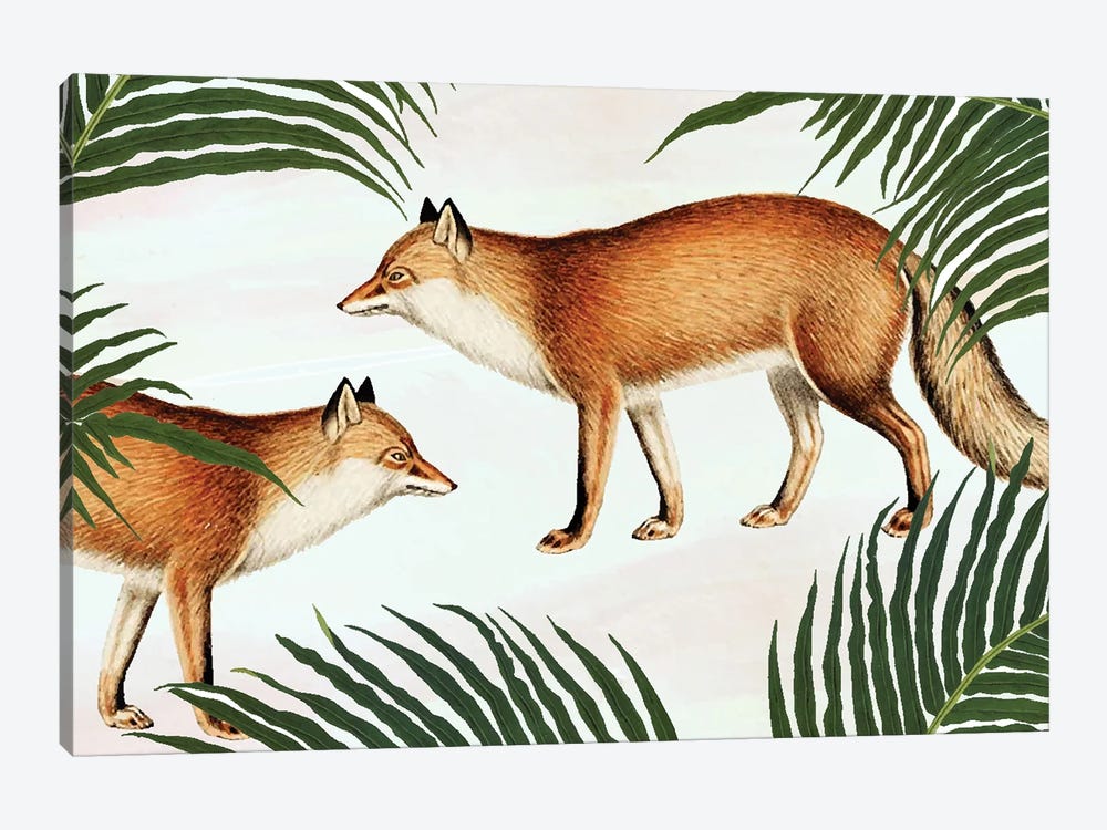Red Fox Pair by 83 Oranges 1-piece Art Print