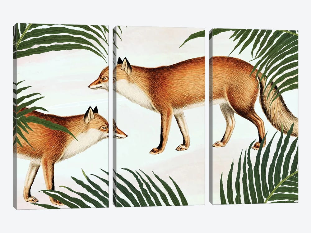 Red Fox Pair by 83 Oranges 3-piece Canvas Print