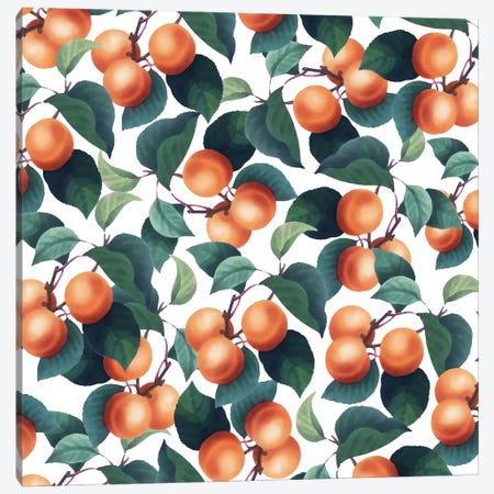 Tropical Fruit Canvas Print #UMA946} by 83 Oranges Canvas Print