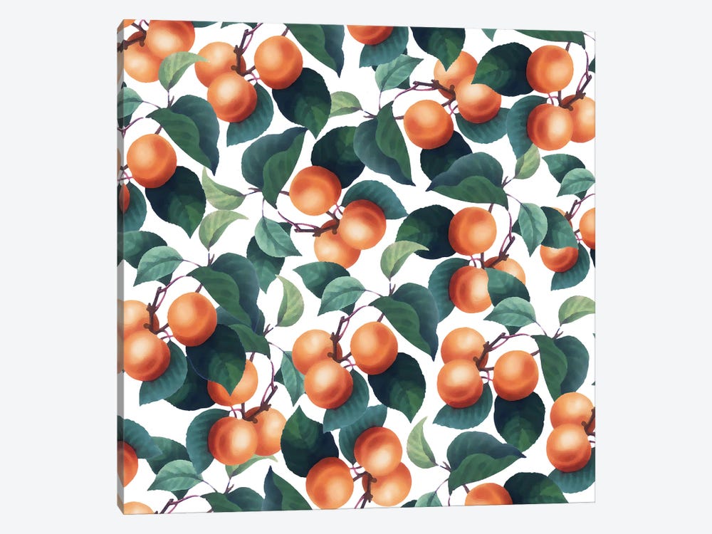 Tropical Fruit by 83 Oranges 1-piece Canvas Artwork
