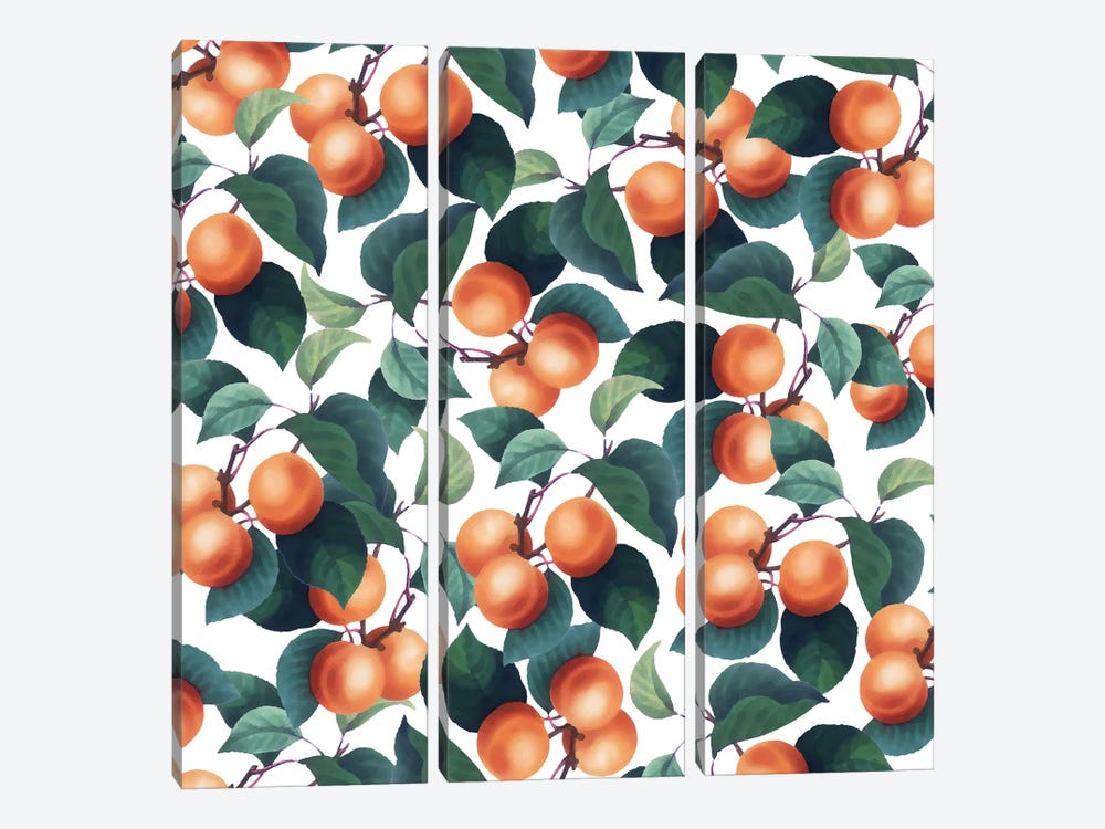 Tropical Fruit by 83 Oranges 3-piece Canvas Art