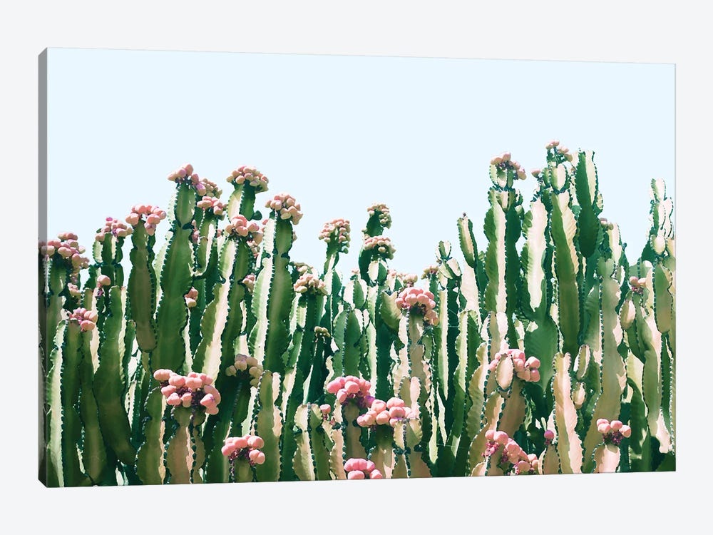 Blush Cactus by 83 Oranges 1-piece Canvas Art Print