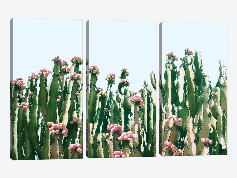 Blush Cactus by 83 Oranges 3-piece Art Print