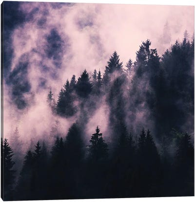 Foggy Night Canvas Art Print - Black & Pink