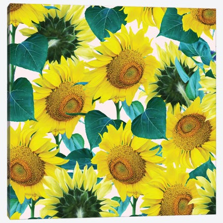 Sunflower Canvas Print #UMA971} by 83 Oranges Canvas Art Print