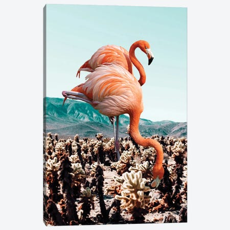 Flamingos In The Desert Canvas Print #UMA974} by 83 Oranges Canvas Art