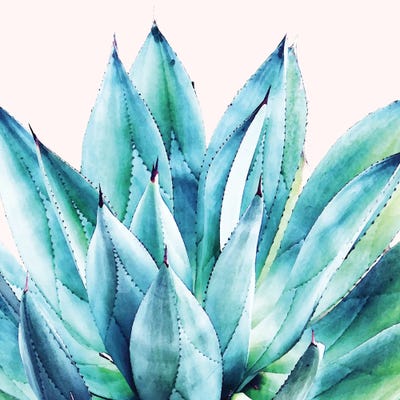 Agave Vibe by 83 Oranges framed canvas print