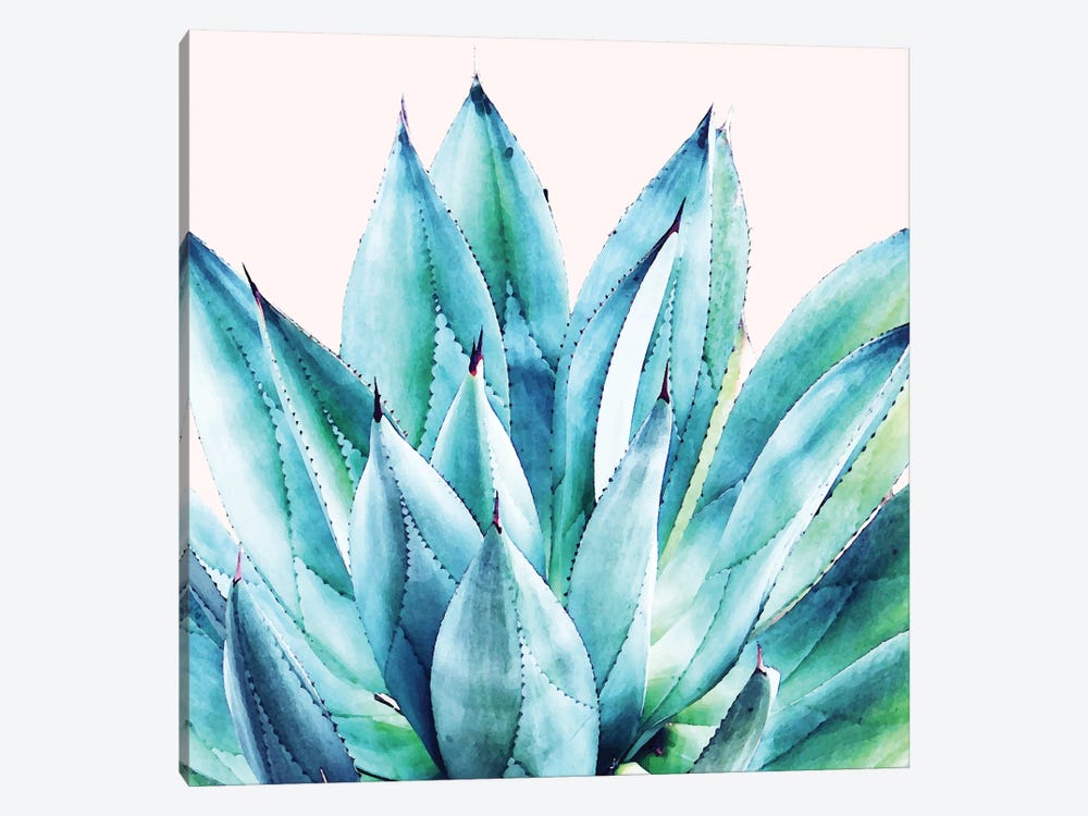 Agave Vibe by 83 Oranges 1-piece Canvas Artwork