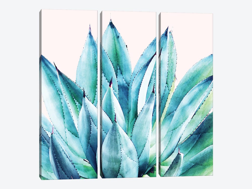 Agave Vibe by 83 Oranges 3-piece Canvas Wall Art