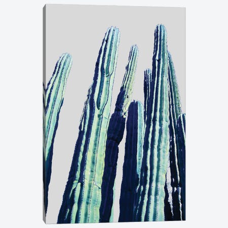 Cactus Canvas Print #UMA990} by 83 Oranges Canvas Art Print