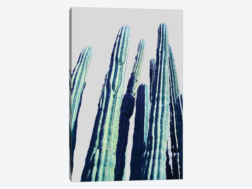 Cactus by 83 Oranges 1-piece Art Print