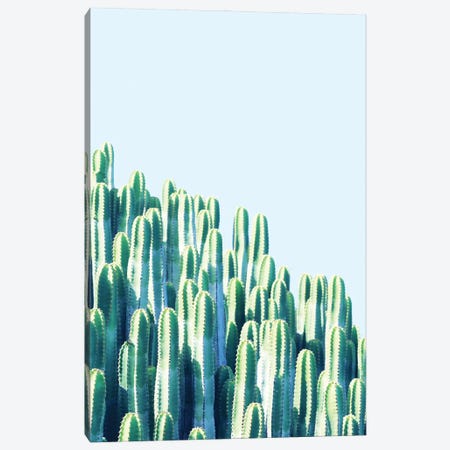 Cactus By The Sea Canvas Print #UMA998} by 83 Oranges Canvas Print