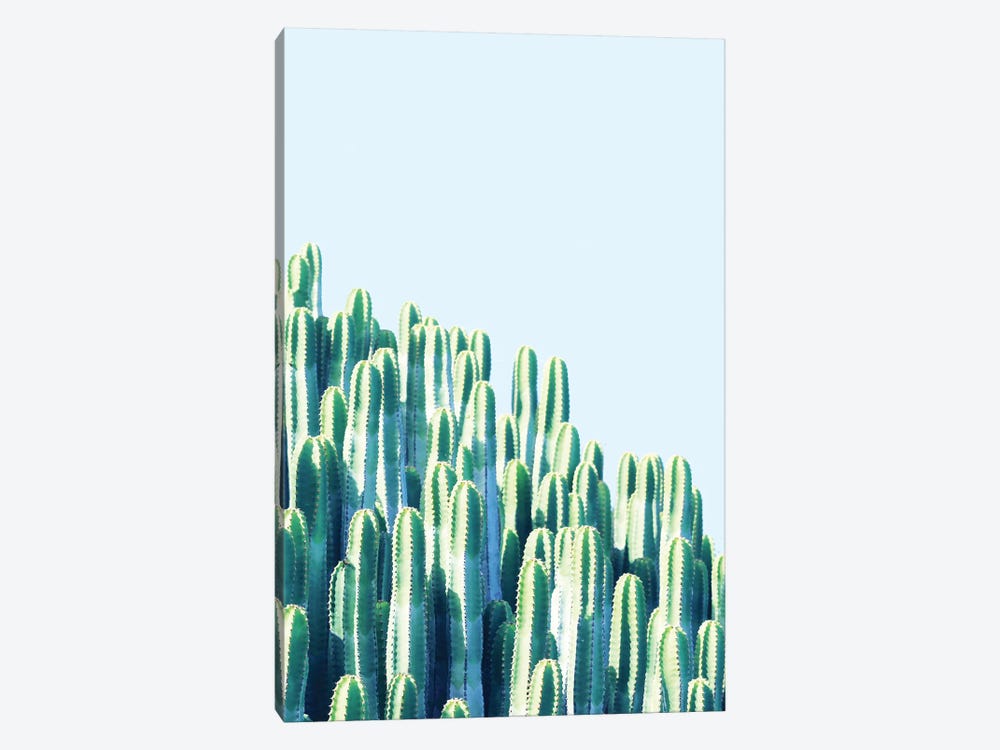 Cactus By The Sea by 83 Oranges 1-piece Canvas Art Print