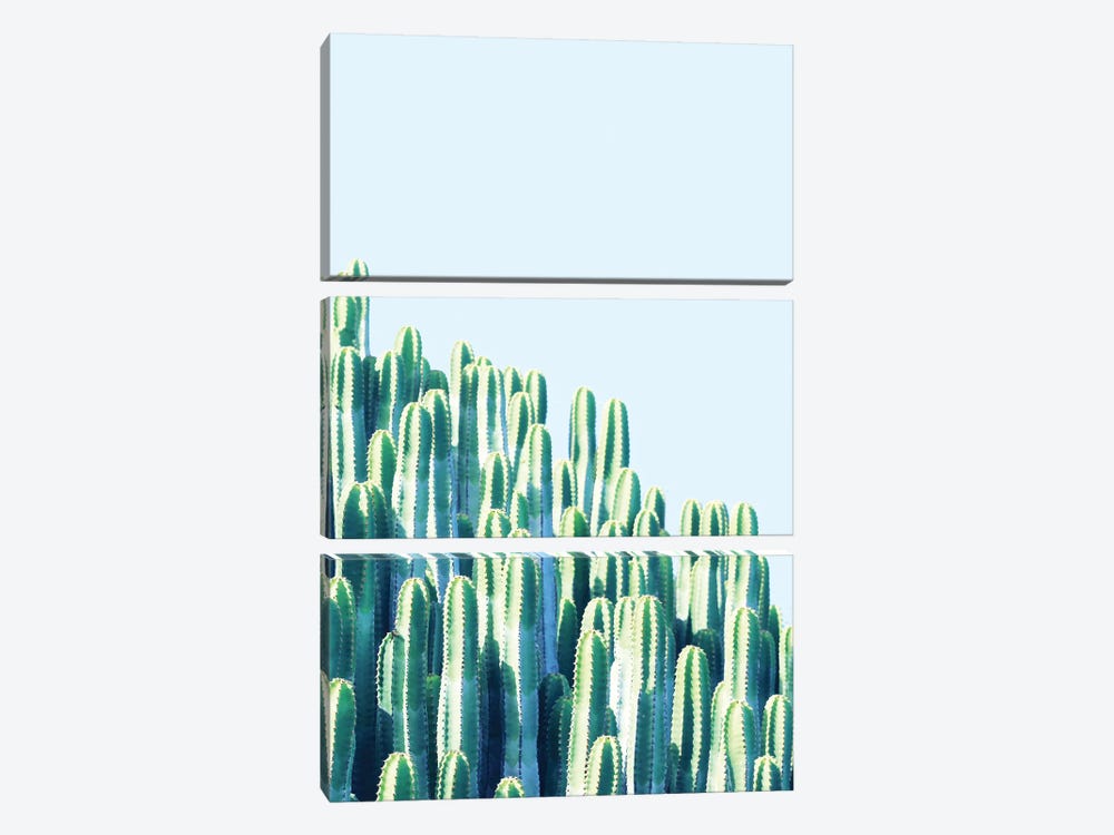 Cactus By The Sea by 83 Oranges 3-piece Canvas Art Print