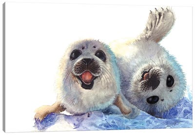 Seal Cubs Canvas Art Print - Sunima