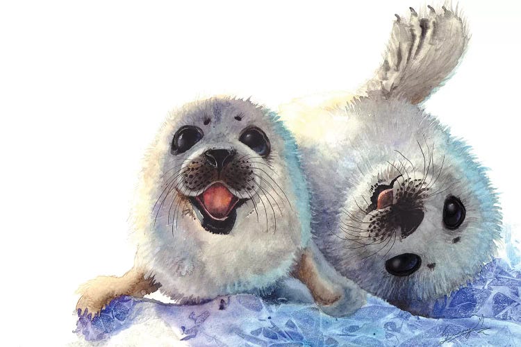 Seal Cubs