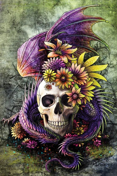 Sunima: Dragon And Skull by Sunima