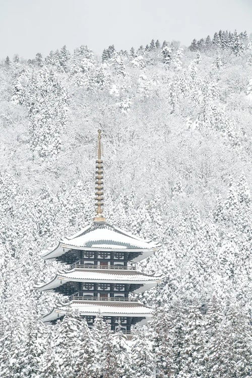 Tower Of Winter by Naoya Yoshida wall art