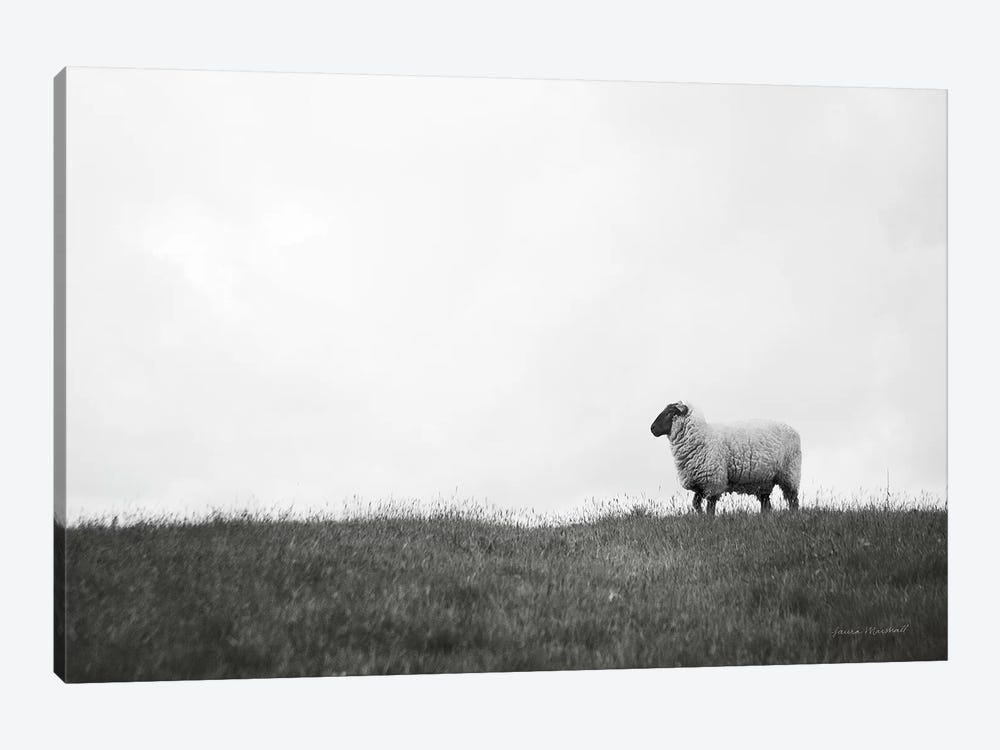 Islay Sheep II by Laura Marshall 1-piece Art Print