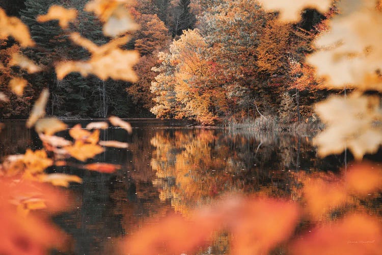 Autumn Reflections by Laura Marshall wall art