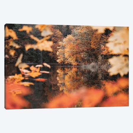 Autumn Reflections Canvas Print #URA212} by Laura Marshall Canvas Print