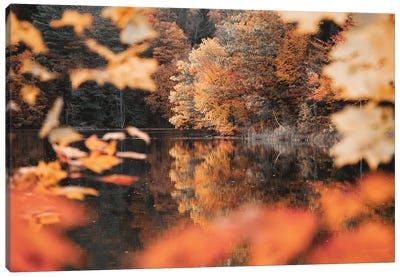 Autumn Reflections Canvas Art Print - Laura Marshall