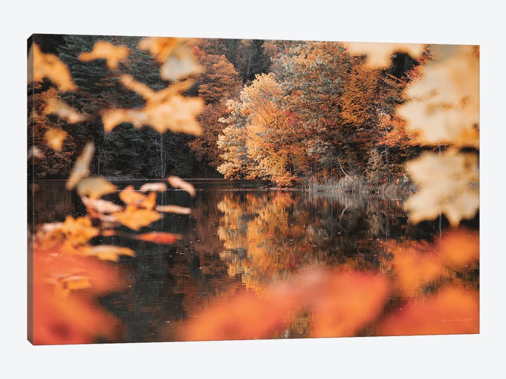 Autumn Reflections by Laura Marshall 1-piece Canvas Wall Art