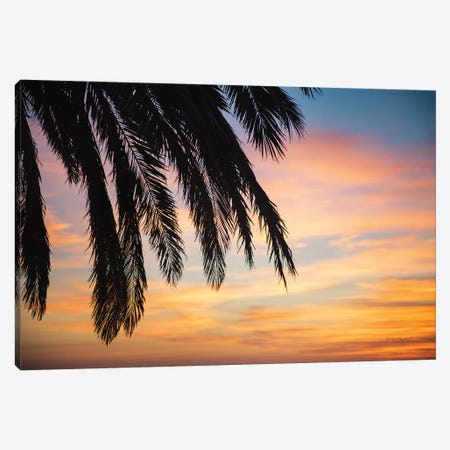 Sunset Palms I Canvas Print #URA2} by Laura Marshall Art Print