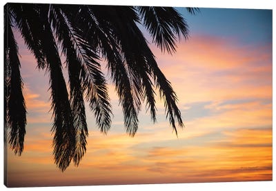 Sunset Palms I Canvas Art Print - Laura Marshall
