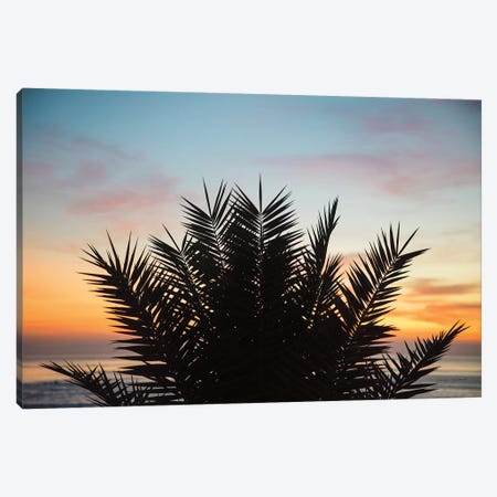 Sunset Palms II Canvas Print #URA3} by Laura Marshall Art Print