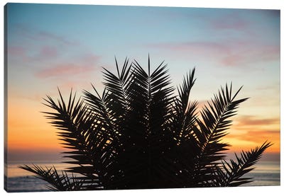 Sunset Palms II Canvas Art Print - Laura Marshall