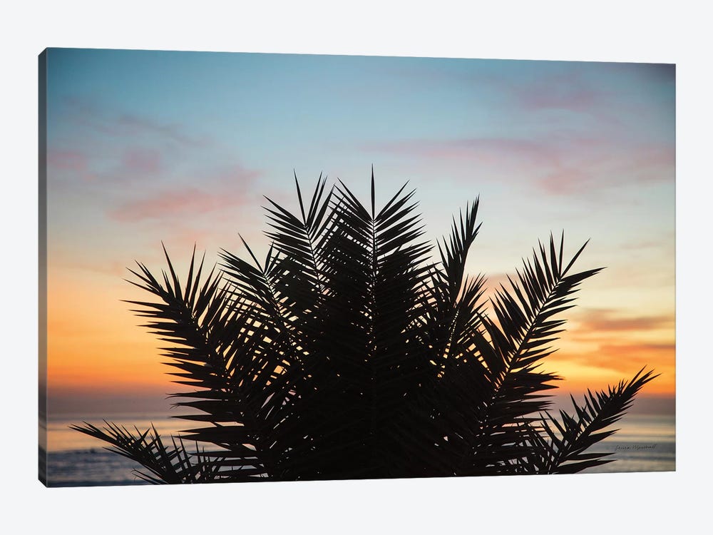 Sunset Palms II 1-piece Canvas Print