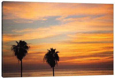 Sunset Palms III Canvas Art Print