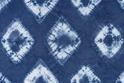 Shiboriscapes III by Mary Urban framed canvas print