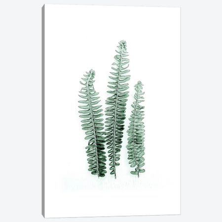 Tender Leaves I Canvas Print #URE230} by Urban Epiphany Canvas Artwork