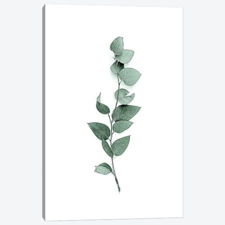 Tender Leaves III Canvas Print #URE232} by Urban Epiphany Canvas Wall Art