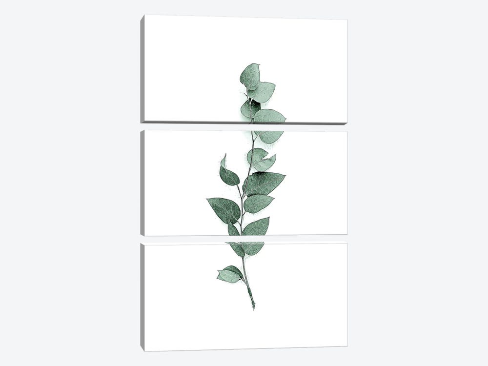 Tender Leaves III by Urban Epiphany 3-piece Canvas Wall Art