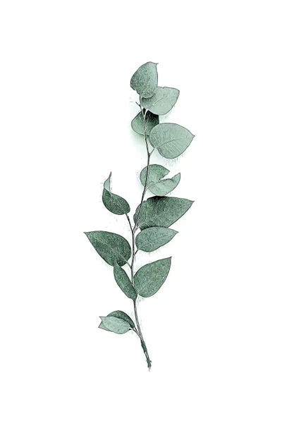 A.D. Lines Eurogroup Inc.: Tender Leaves III by Urban Epiphany